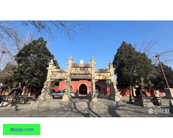 海港B平赛更达泰山胜泰安天贶